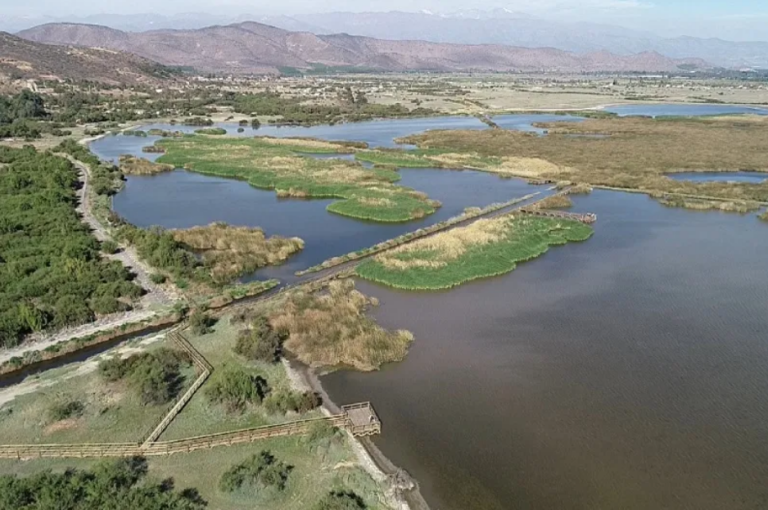 Vecinos denuncian abandono del humedal de Batuco a un año de ser declarado Santuario de la Naturaleza