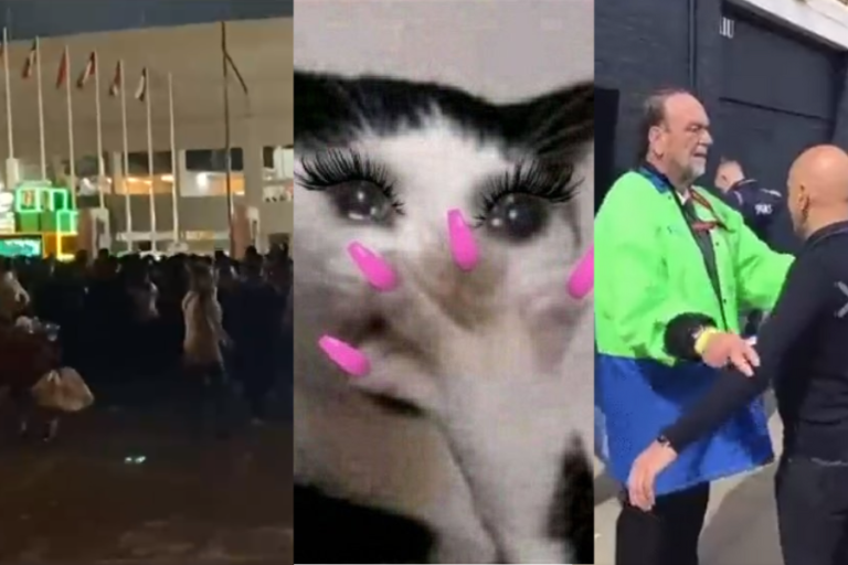 Con reclamos y memes: Así reaccionaron las redes al caos por el ingreso al concierto de Daddy Yankee