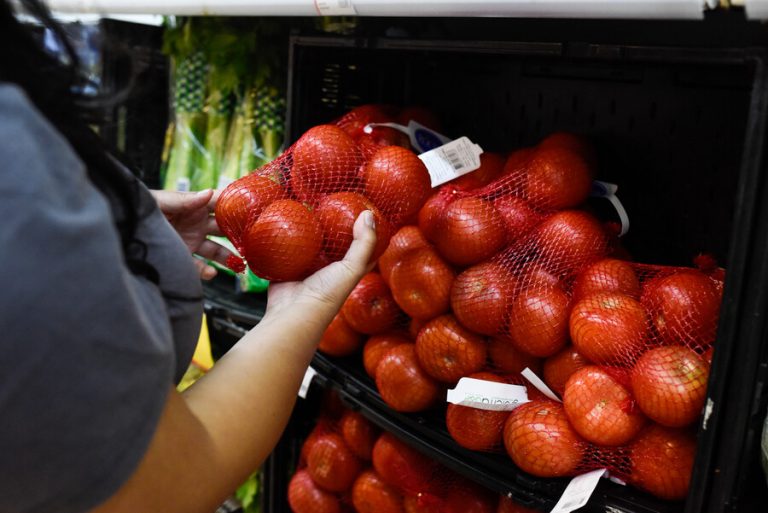 Nuevos beneficiarios y monto del Aporte Canasta Básica: Consulta con tu RUT y fecha de nacimiento si lo recibirás