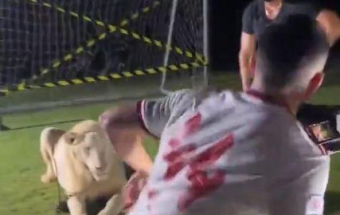 ¡Cuidado con el león! Jugador tenía que filmar un aviso y casi terminó en el techo del susto