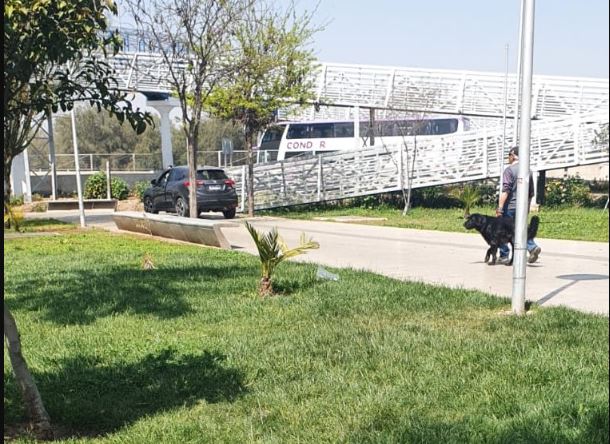 Asaltante fue abatido por funcionario PDI tras intento de robo de auto en Pudahuel