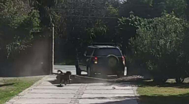 Inédita forma de asalto en Pirque: Delincuentes ingresaron a casa mediante el método de 