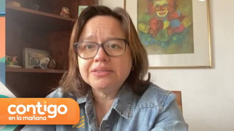 “Me trató de estúpida”: Diputada Riquelme reveló detalles de agresión entre Gonzalo de la Carrera y Alexis Sepúlveda