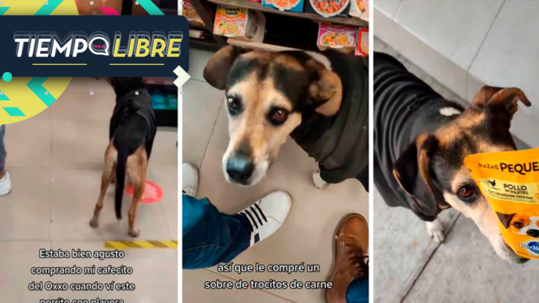 ¡Increíble! Tierno perrito engaña a las personas en Oxxo para que le compren comida
