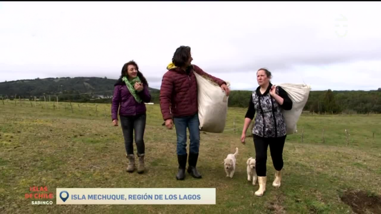 Islas De Chile: Isla Mechuque