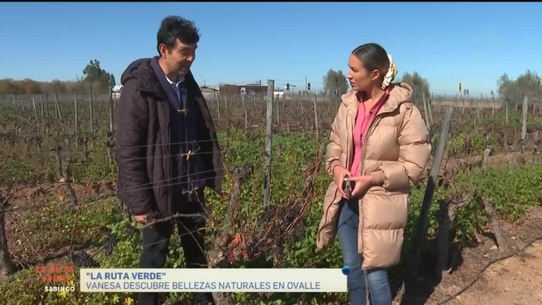 La Ruta Verde | Vanesa Borghi hizo tierra orgánica en la Viña Tololo de Ovalle