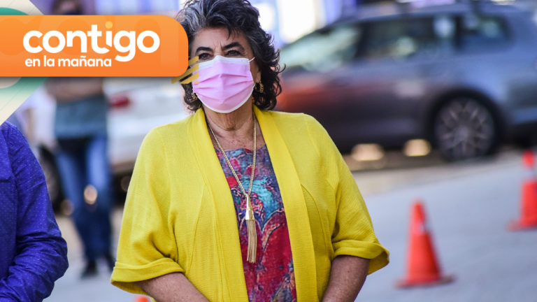 Auditoría encargada por Municipalidad de Viña del Mar encontró más de 60 irregularidades durante mandato de Virginia Reginato