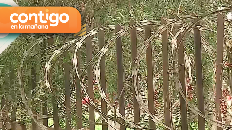Están desesperados: Vecinos de Maipú construyeron una “trinchera” para protegerse de robos y encerronas