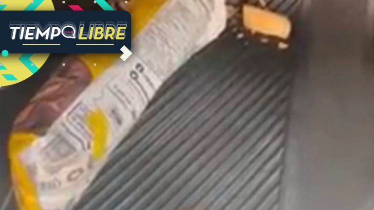 Mujer encontró un ratón muerto dentro de una bolsa de papas fritas recién comprada