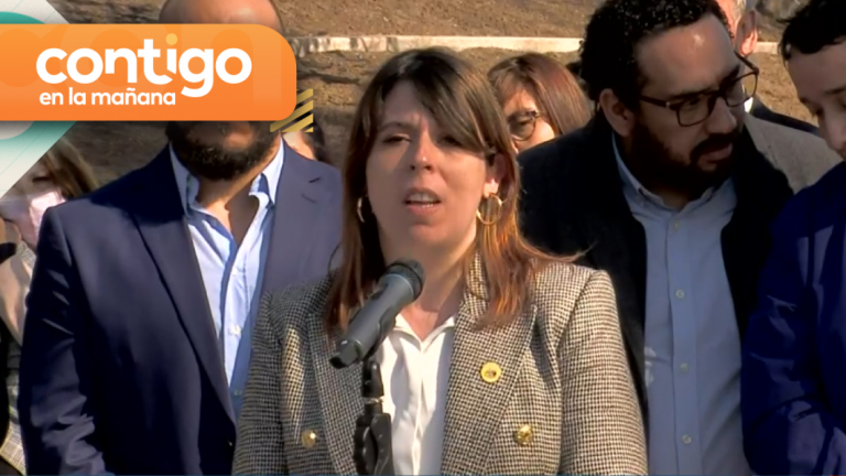 “Esto es inaceptable”: Delegada presidencial se refirió a incidentes en concierto de Daddy Yankee