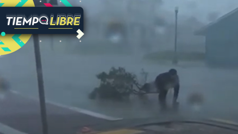 Periodista que transmitía en vivo el Huracán Ian fue golpeado por una rama de árbol