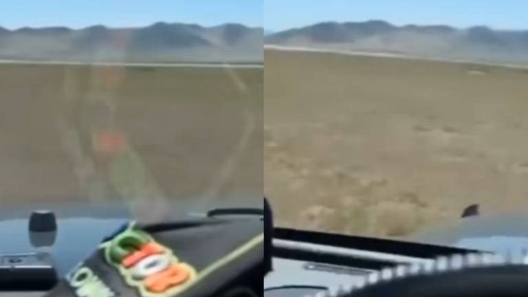 Nueva denuncia en Caldera: Hombre transitó por Desierto Florido mientras se burlaba de la flora que destruía