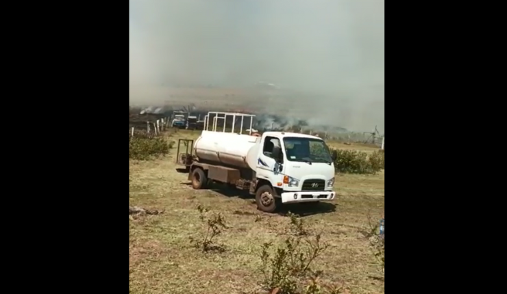 Onemi declara alerta amarilla para Isla de Pascua por incendio forestal