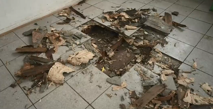 Escuelas en el olvido: El total abandono del emblemático Liceo Abate Molina de Quinta Normal