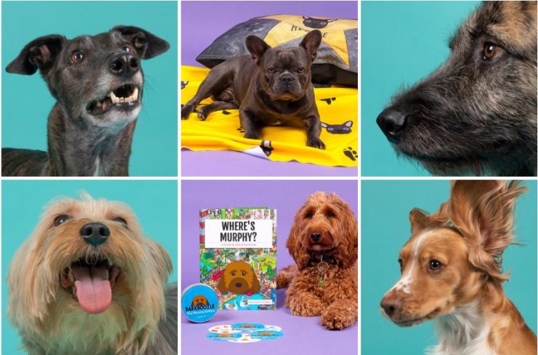 Oficial pelusa: El trabajo para tu perrito influencer con un contrato de hasta $10 millones