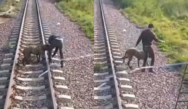 Héroe sin capa: Maquinista salva a perrito que estaba encadenado en plena vía del tren
