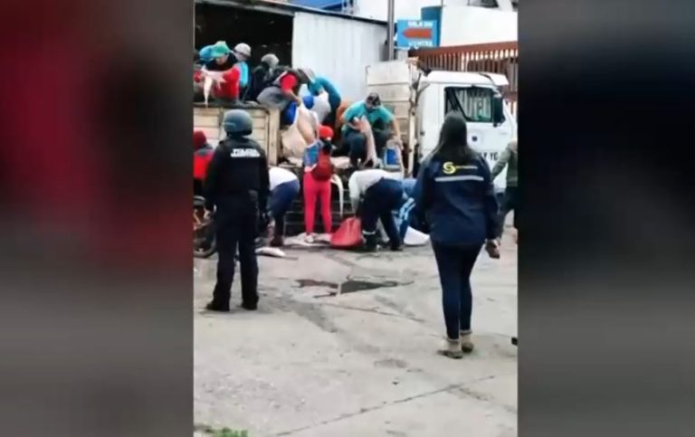 Turba se llevó pescado incautado en fiscalización: Se abalanzaron al camión para sacarlo en Talcahuano