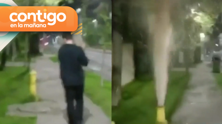 Repudiable acción: Jóvenes destruyen grifo con una piedra gigante