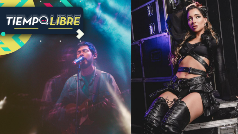 Día de la Música Chilena: Los conciertos que se harán para celebrar esta jornada