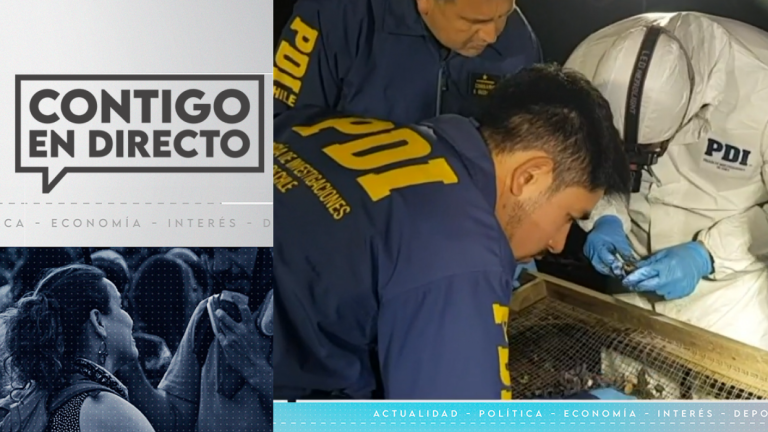 Macabro crimen: Encuentran el cuerpo de un hombre descuartizado y calcinado en Concepción