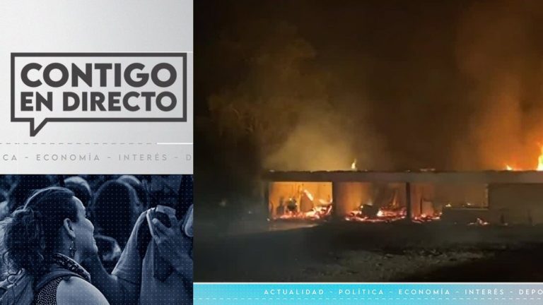 Nuevo ataque incendiario afecta a fundo de la exconsejera regional de la Macrozona Sur