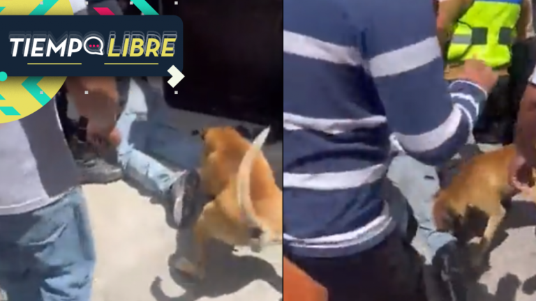 Hasta el perro salió al ataque: Vecinos agarran y golpean a ladrón que intentó robar una casa