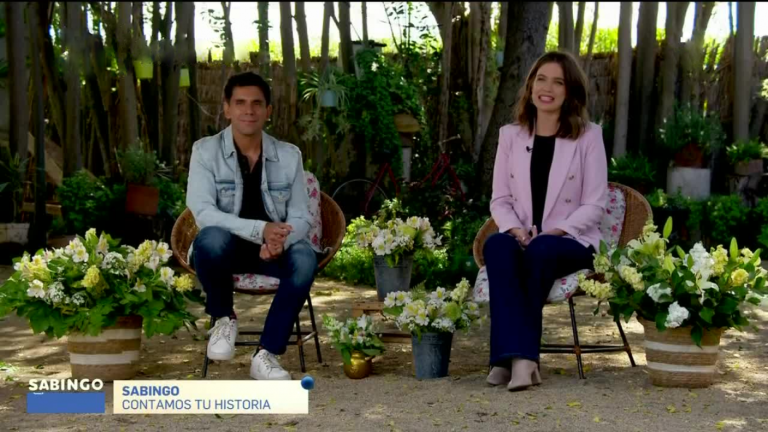 Sabingo | Capítulo 15 de octubre