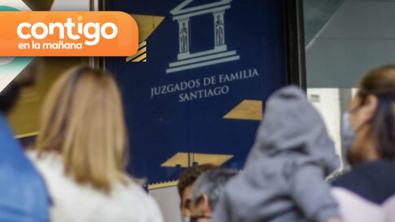 ¿Cómo funciona el Registro Nacional de Deudores de Pensiones Alimenticias?