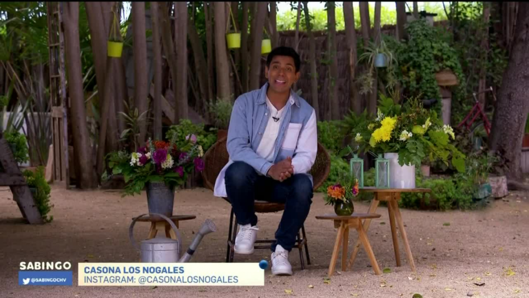 Sabingo | Capítulo 23 de octubre