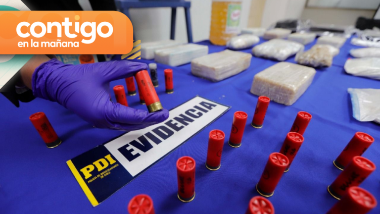 Tráfico de drogas en Aysén: Exmilitar, exPDI y trabajador de Seremi participaban en red de narcotráfico