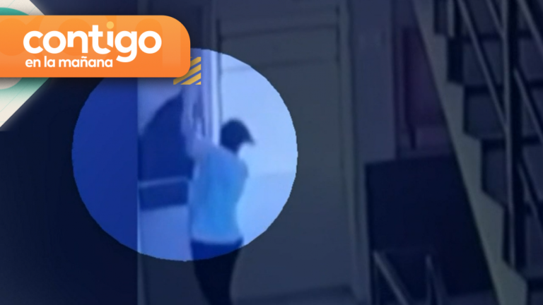 Grave caso de maltrato animal: Mujer arrojó a perro vivo por ducto de basura en Antofagasta