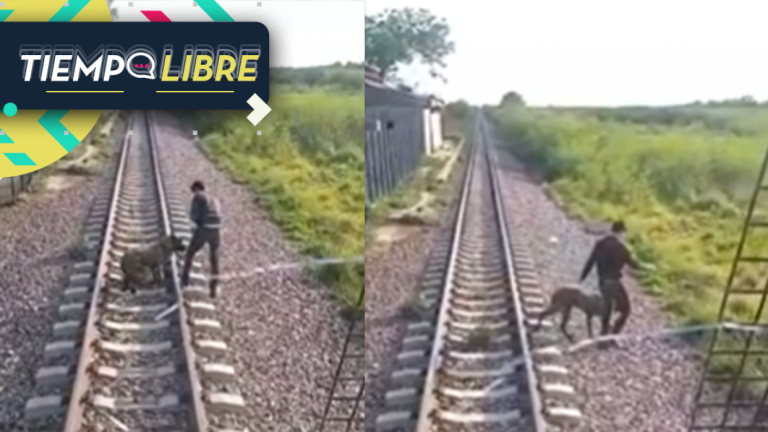 Noble gesto: Dejaron a un perro amarrado a las vías del tren y al verlo conductor detuvo la máquina para rescatarlo