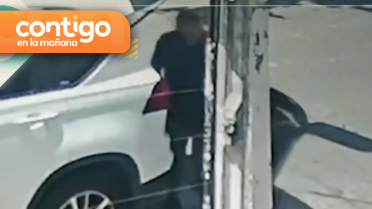 “Es el delito más ordinario que existe”: Sujeto se baja de su auto para robar un basurero