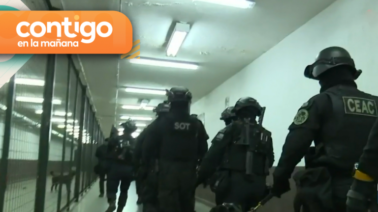 Más de 100 bandas criminales operan desde la cárcel: 754 ya están fuera de circulación