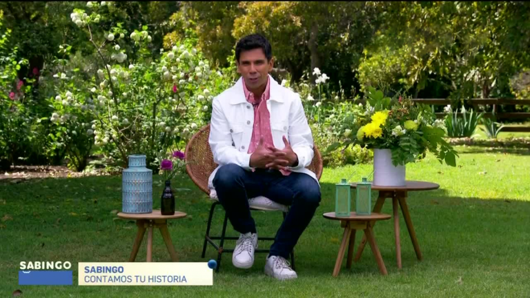 Sabingo | Capítulo 29 de octubre