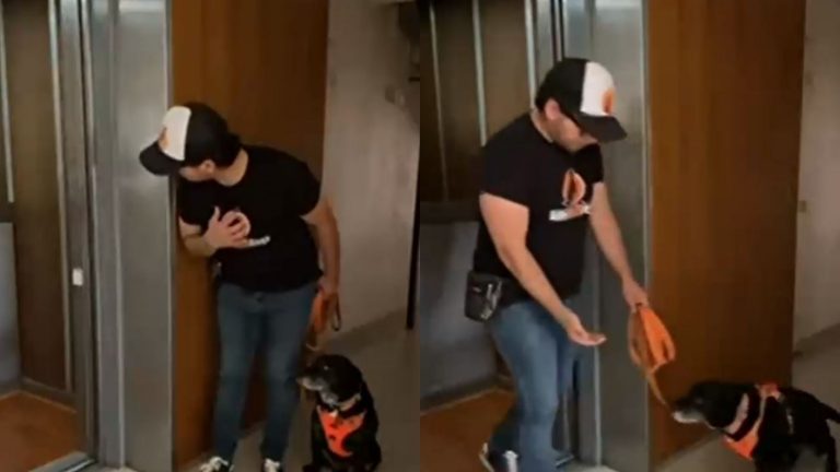 Para evitar ataques y mordidas: 3 consejos clave de expertos al usar el ascensor con tu mascota