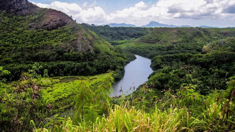 La encontaron inconsciente: Turista chilena murió mientras participaba en una excursión en Hawaii