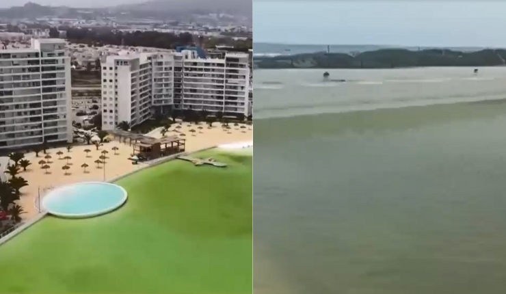 Totalmente verdosa: Residentes de condominio en La Serena denuncian falta de mantención de laguna