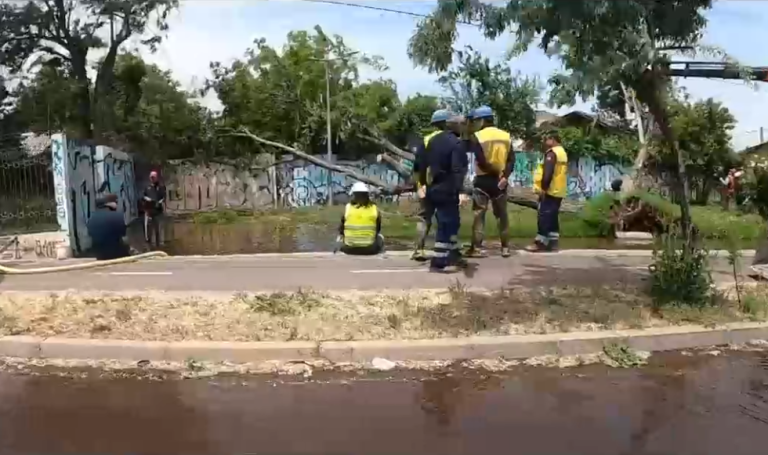 Chile a medias: Vecinos de Cerrillos denuncian caída de árboles tras filtración de agua