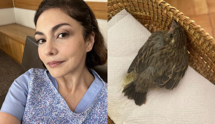 Tamara Acosta pide ayuda tras salvar a pajarito que fue atacado por su gata: 