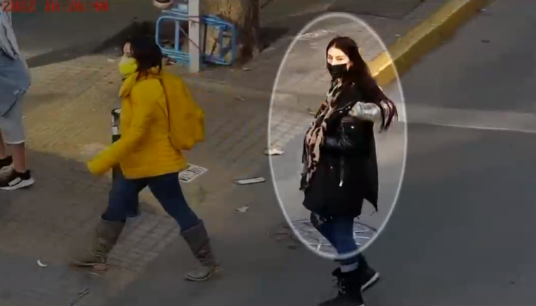 Fue detenida, formalizada y quedó con arresto domiciliario por robar celulares: Volvió a delinquir