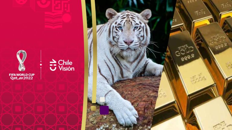 Desde animales exóticos a máquinas expendedoras de oro: Estas son las excentricidades del estilo de vida en Qatar