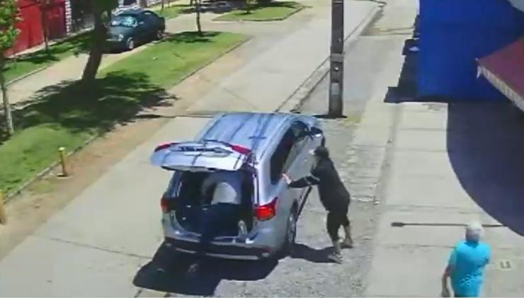 Adulto mayor sufrió violento portonazo en Maipú: Se subió al maletero para intentar frustrar robo