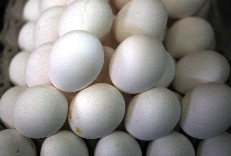 Solo dos cajas por cliente: ¿Por qué el Reino Unido limitó la compra de huevos?