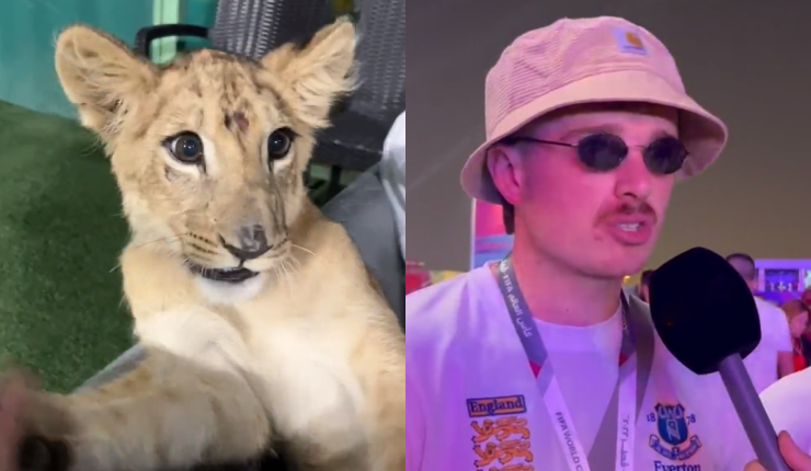 Hinchas ingleses fueron por una cerveza y terminaron de fiesta en lujoso palacio de jeque: Jugaron con leones