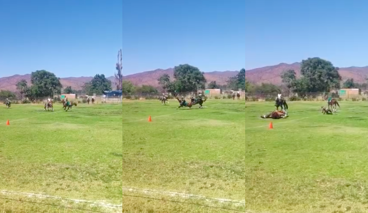 Jinetes de Carabineros sufren grave accidente tras chocar sus caballos en evento institucional