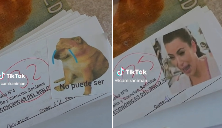 Con minions y perritos: Profesora chilena que califica a sus alumnos con memes es furor en TikTok