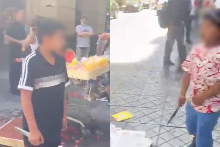 Defensora de la Niñez anunció denuncia ante tribunal de familia y Fiscalía por video de niños con cuchillos