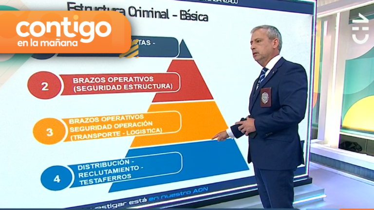 ¿Cómo surgen sus líderes? Esta es la estructura de las bandas criminales chilenas