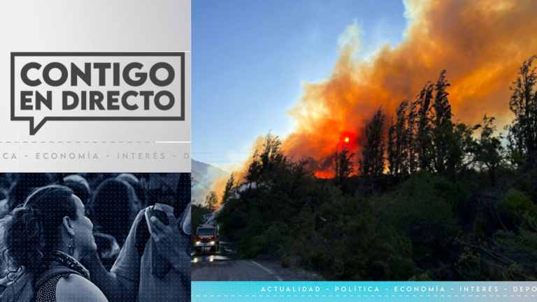 Más de 3.600 hectáreas consumidas: Preocupación por incendios forestales en el Maule